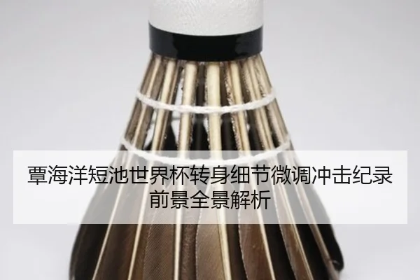 覃海洋短池世界杯转身细节微调冲击纪录前景全景解析